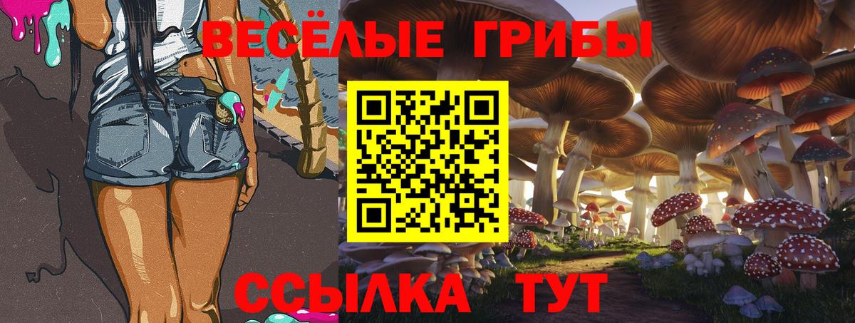 Псилоцибиновые грибы ЛСД  купить закладку  Ханты-Мансийск  Вход с VPN 