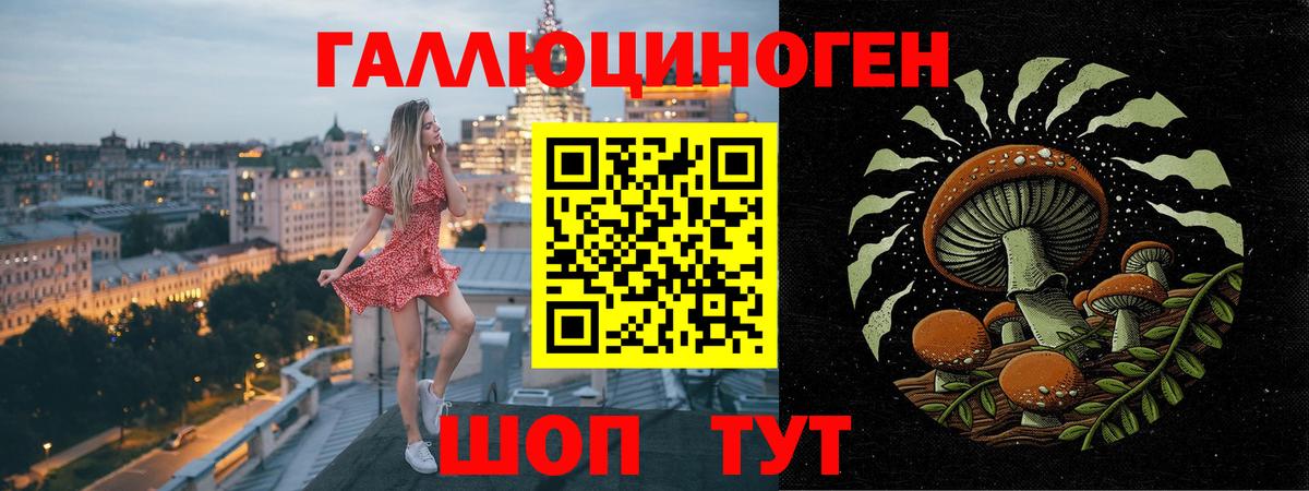 Псилоцибиновые грибы Psilocybe Ханты-Мансийск